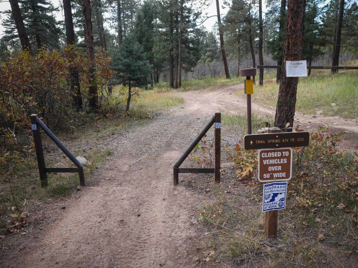Trail Spring photo 5