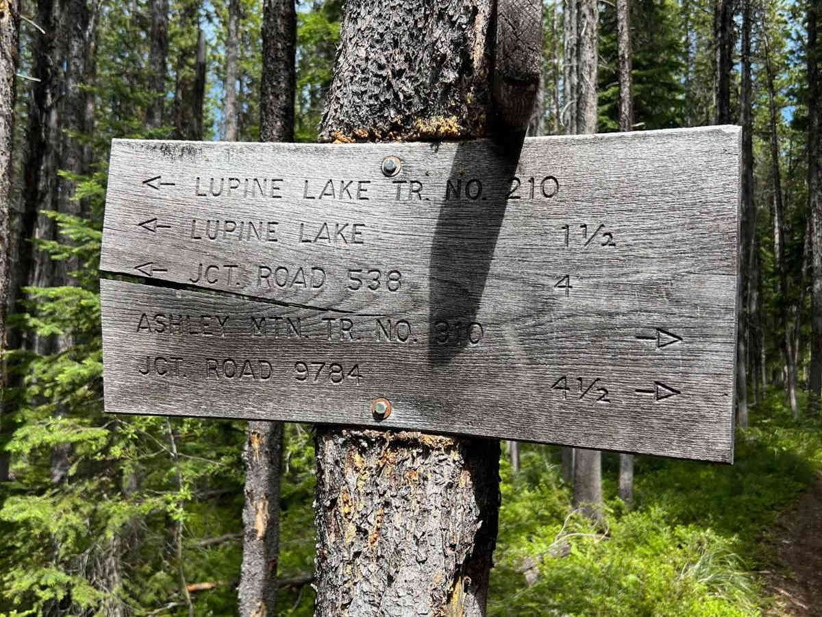 Ashley Mountain photo 6