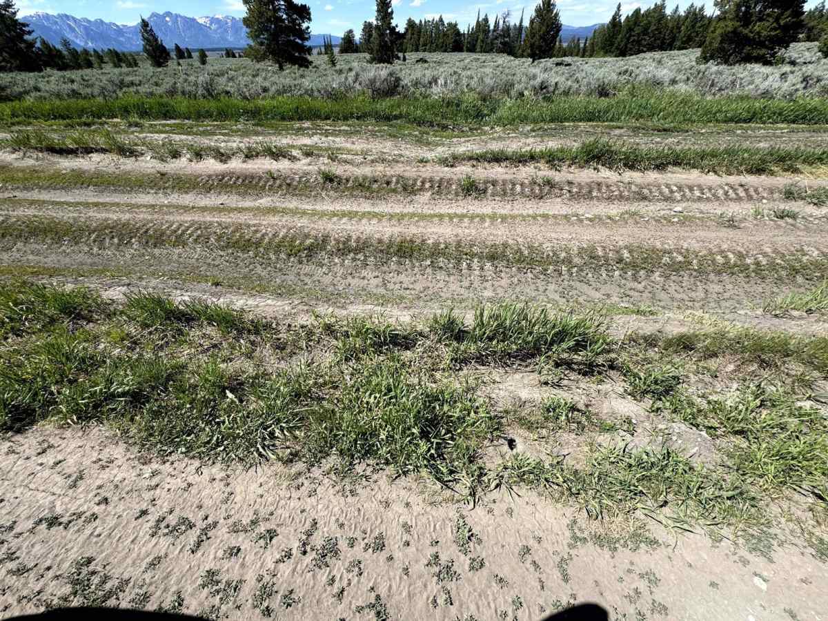 Lost Creek Ranch Road photo 4