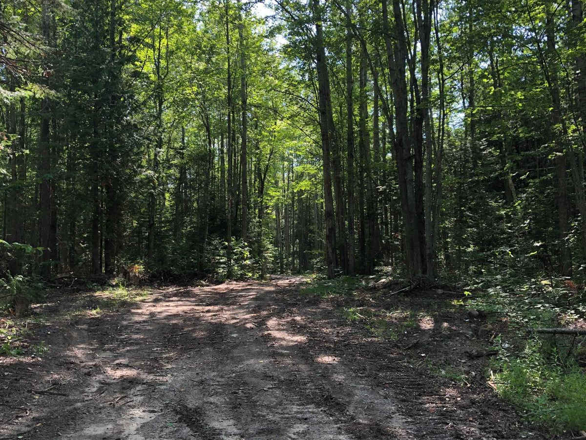 Vermeersch Trail trail photo