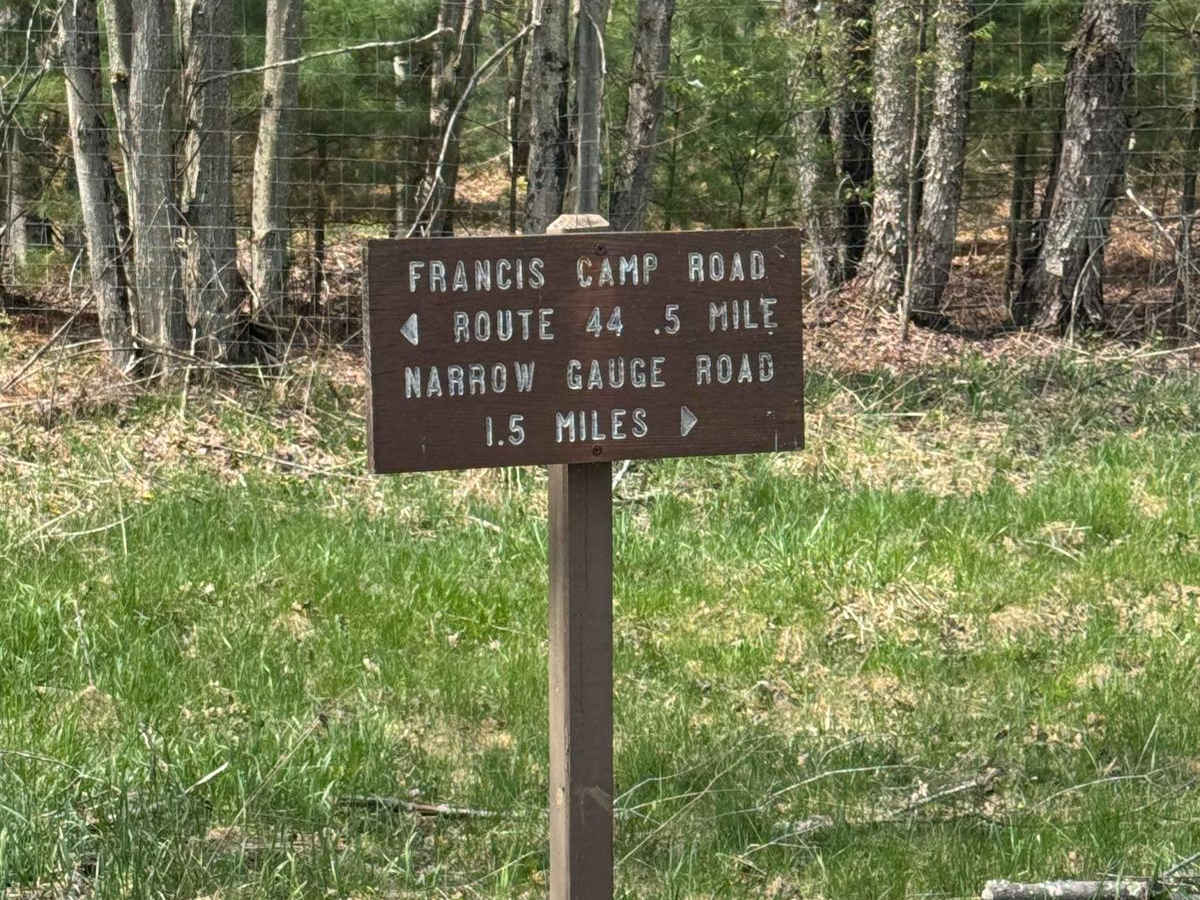 Francis Camp Road photo 6
