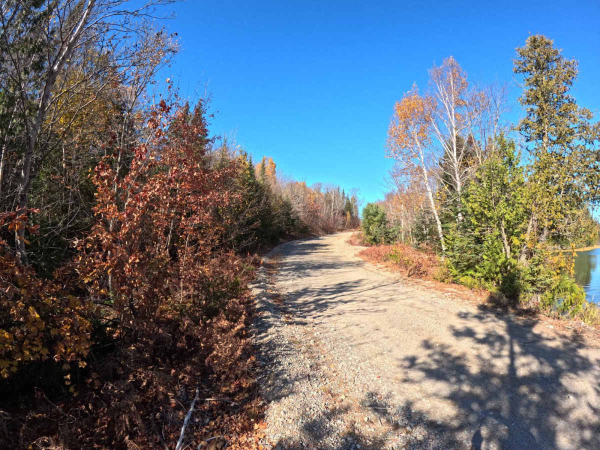 Tribag Mine Alternate Route (Carp Road) photo 4