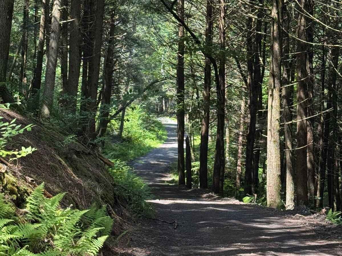 Blum Road photo 3