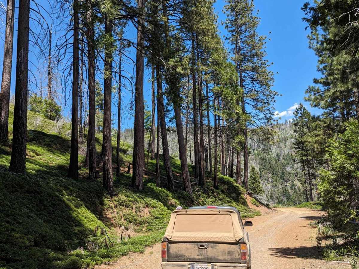 Old Yosemite Coulterville Road photo 6
