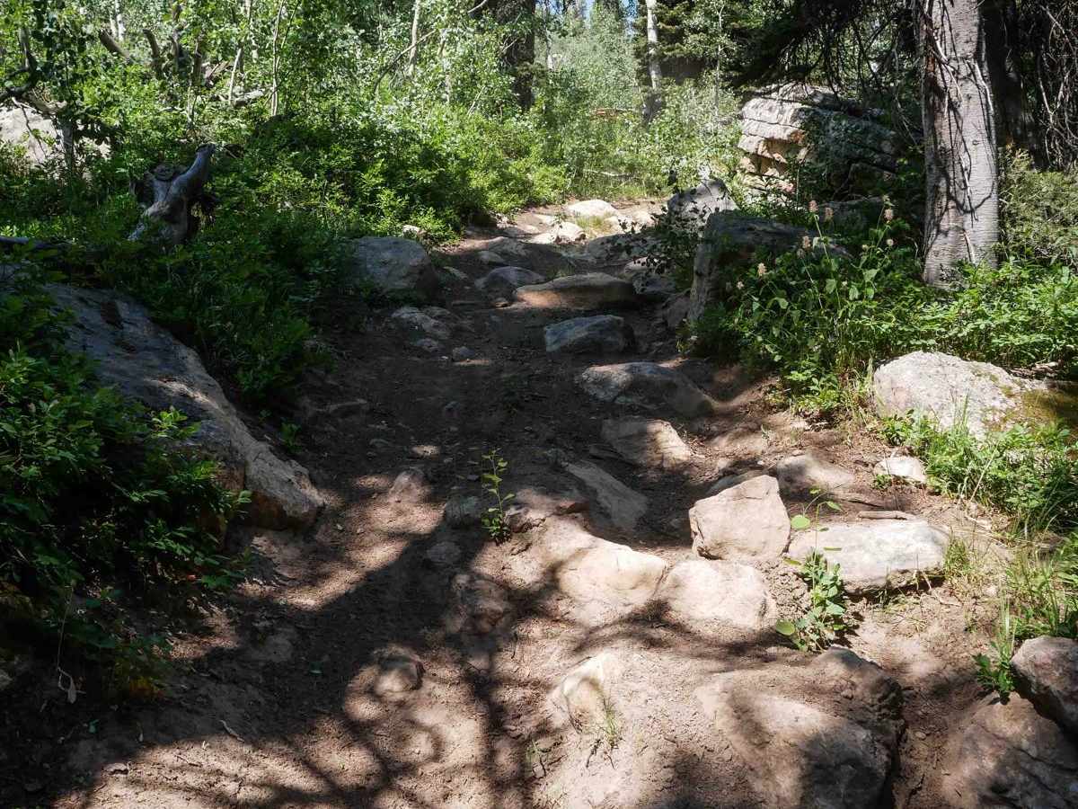 Squirrel Hollow #3358  photo 2