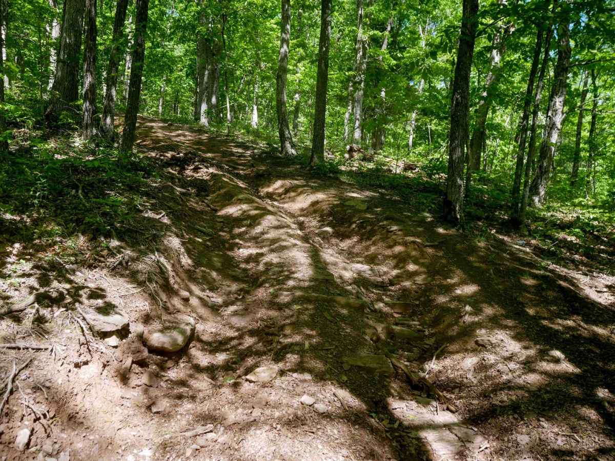 Trail 22 trail photo