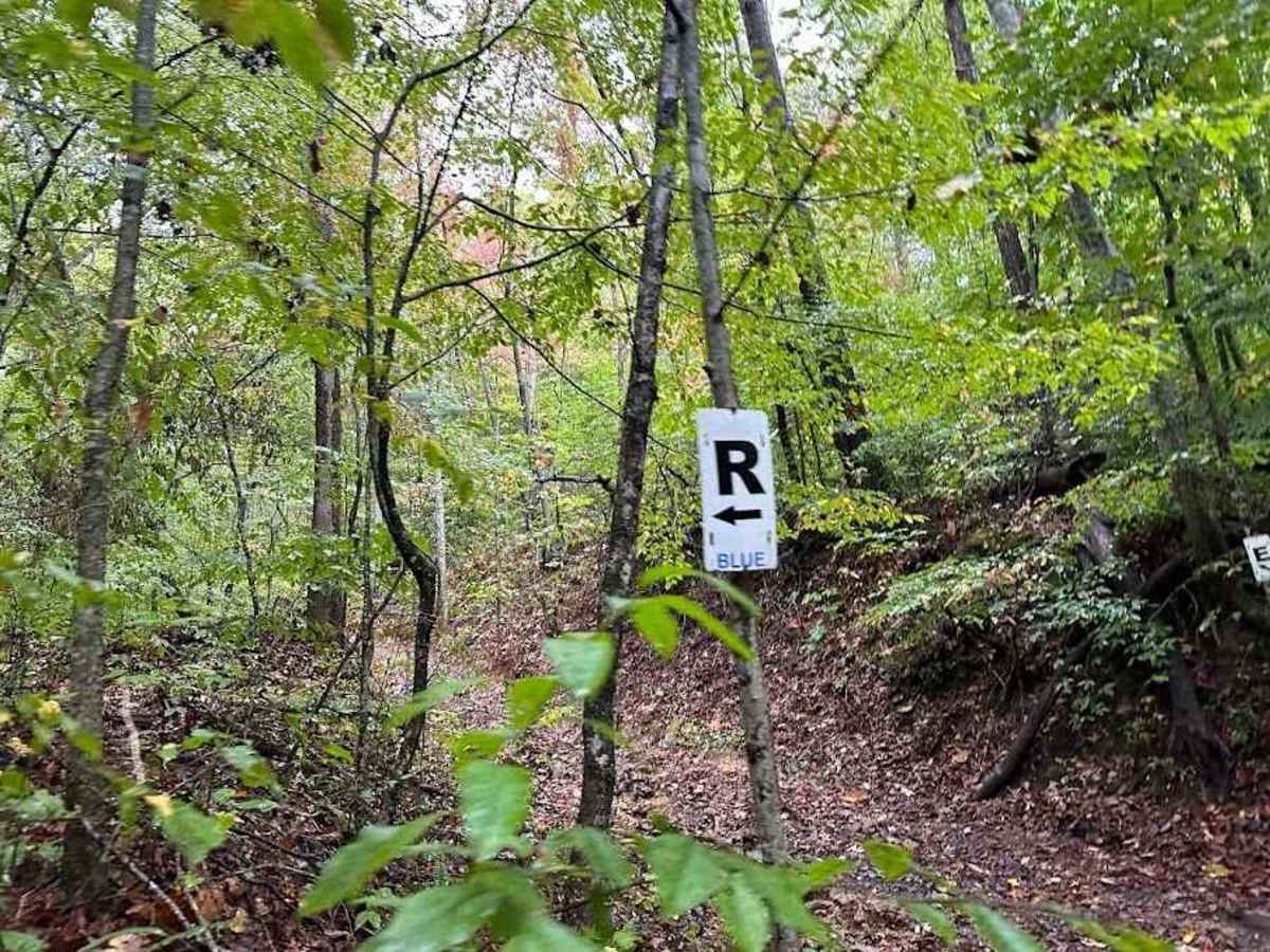 R Blue trail photo