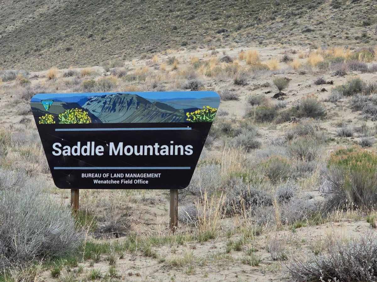 Sandy Saddle trail photo