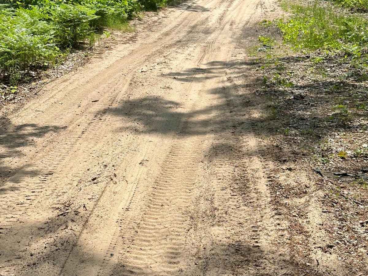 Rogers Road - Trail 58421 photo 3