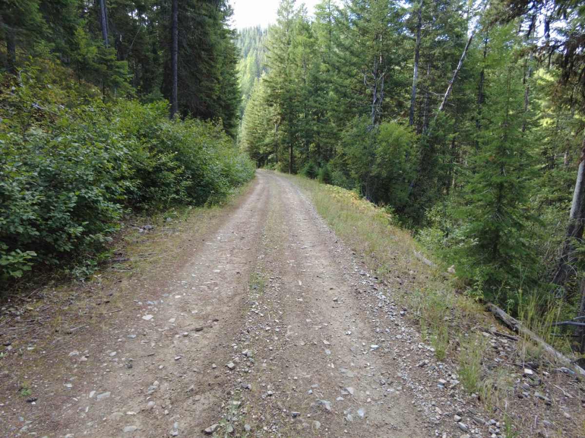 Tamarack Creek - FS 284 photo 5