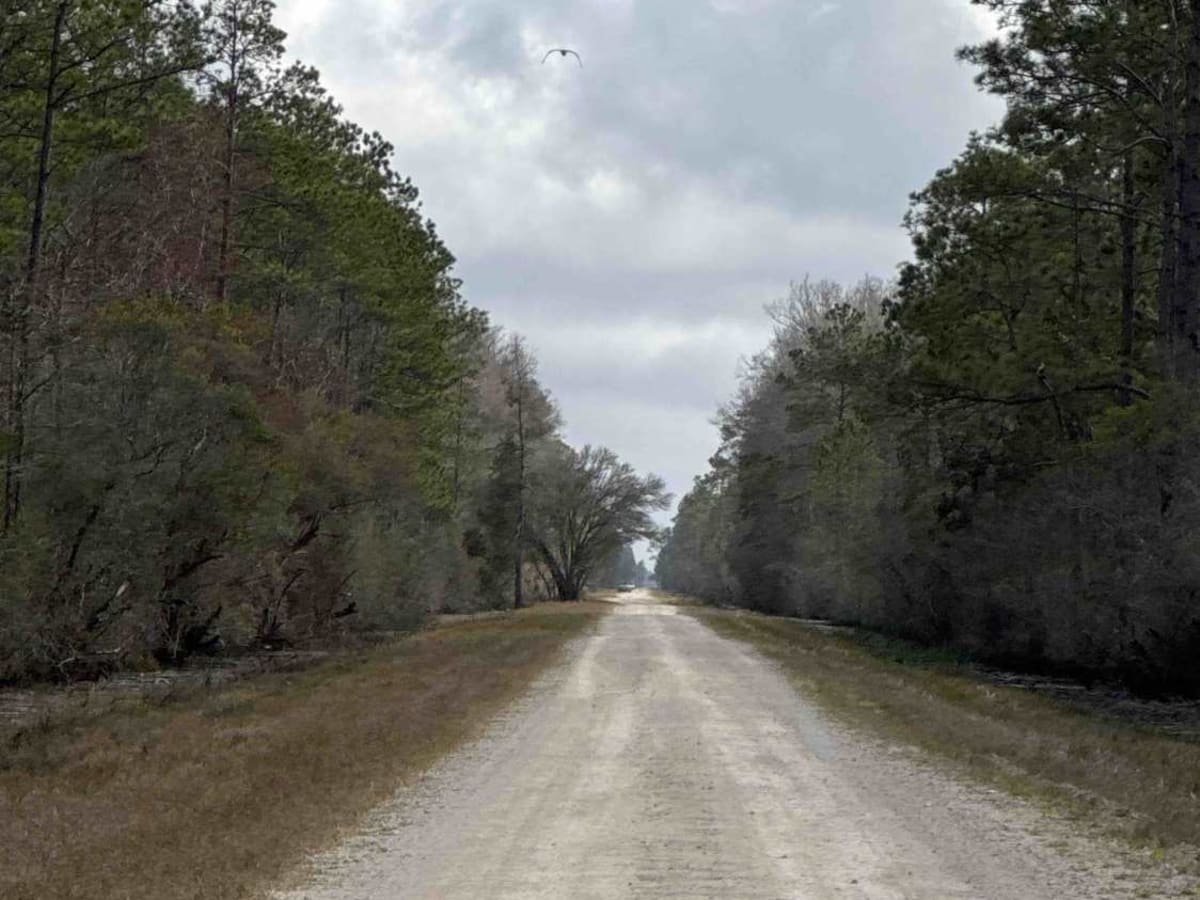 Tower Road photo 4