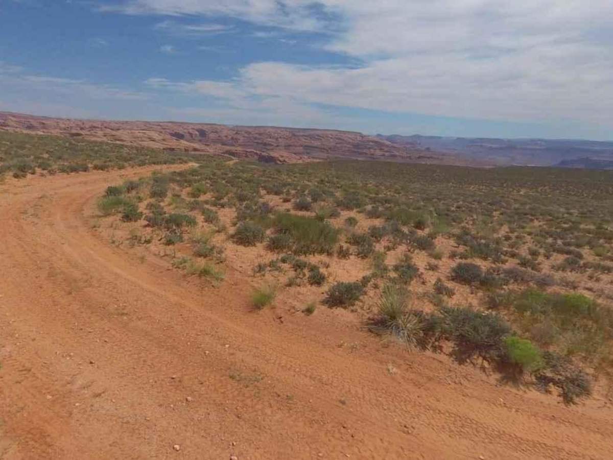 BLM13470 photo 5
