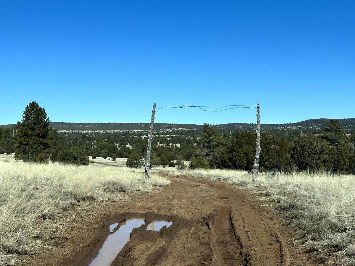 Mongollon Mesa Trail (9D) photo 2