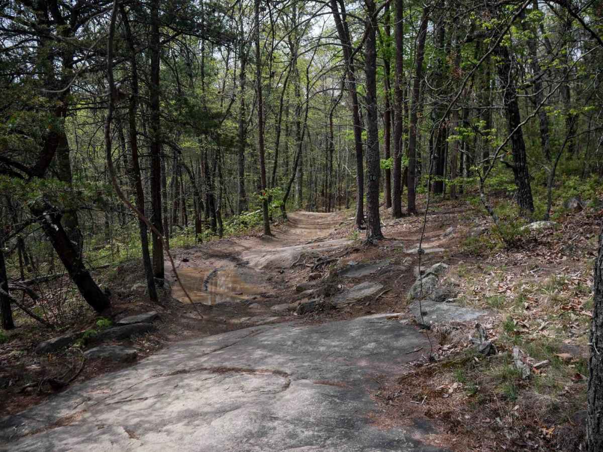 Trail 10 photo 5