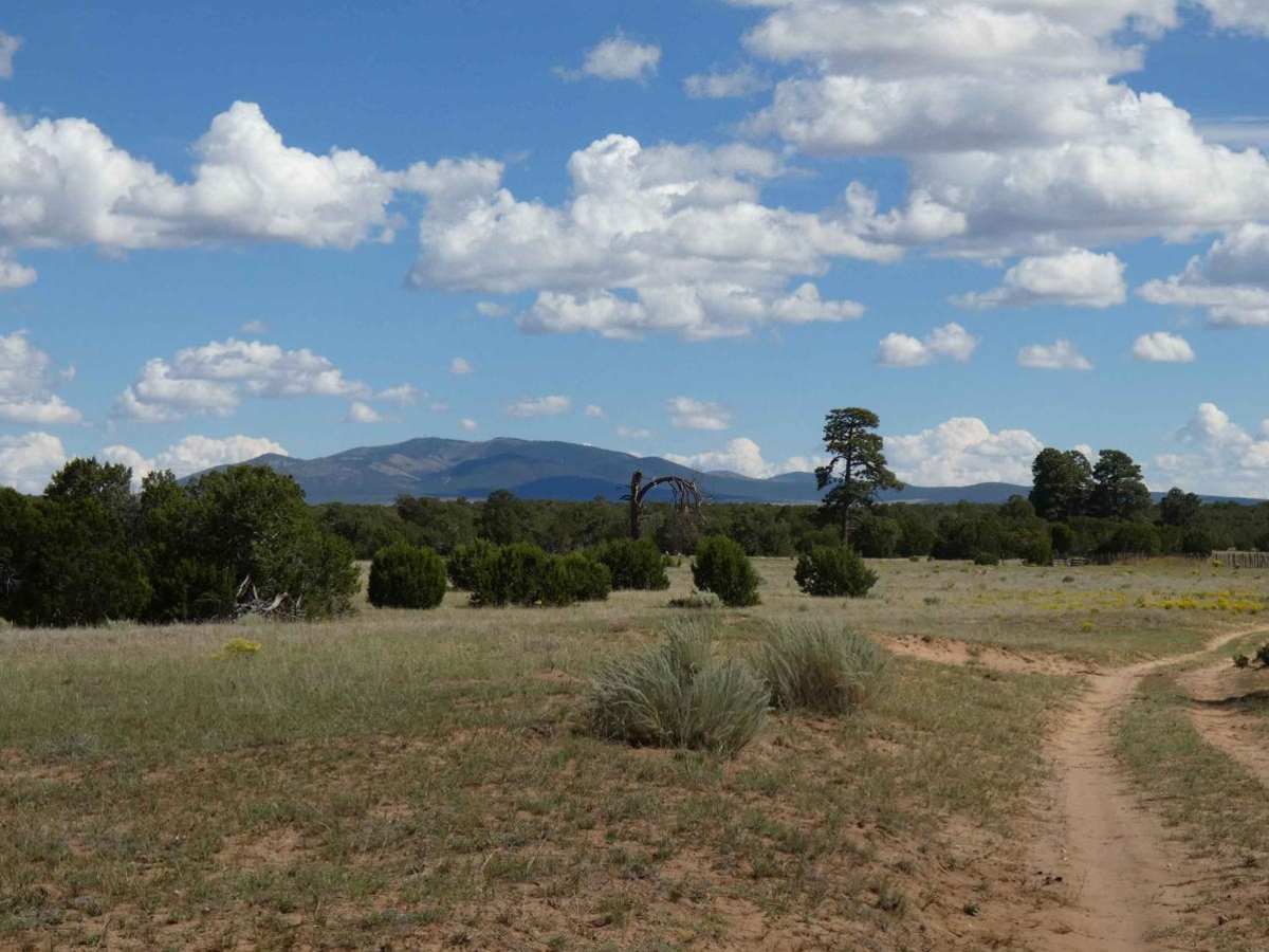 Clarion Course trail photo