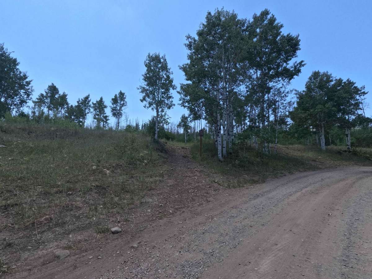 Sheepherder Hill - FS 8099 photo 2