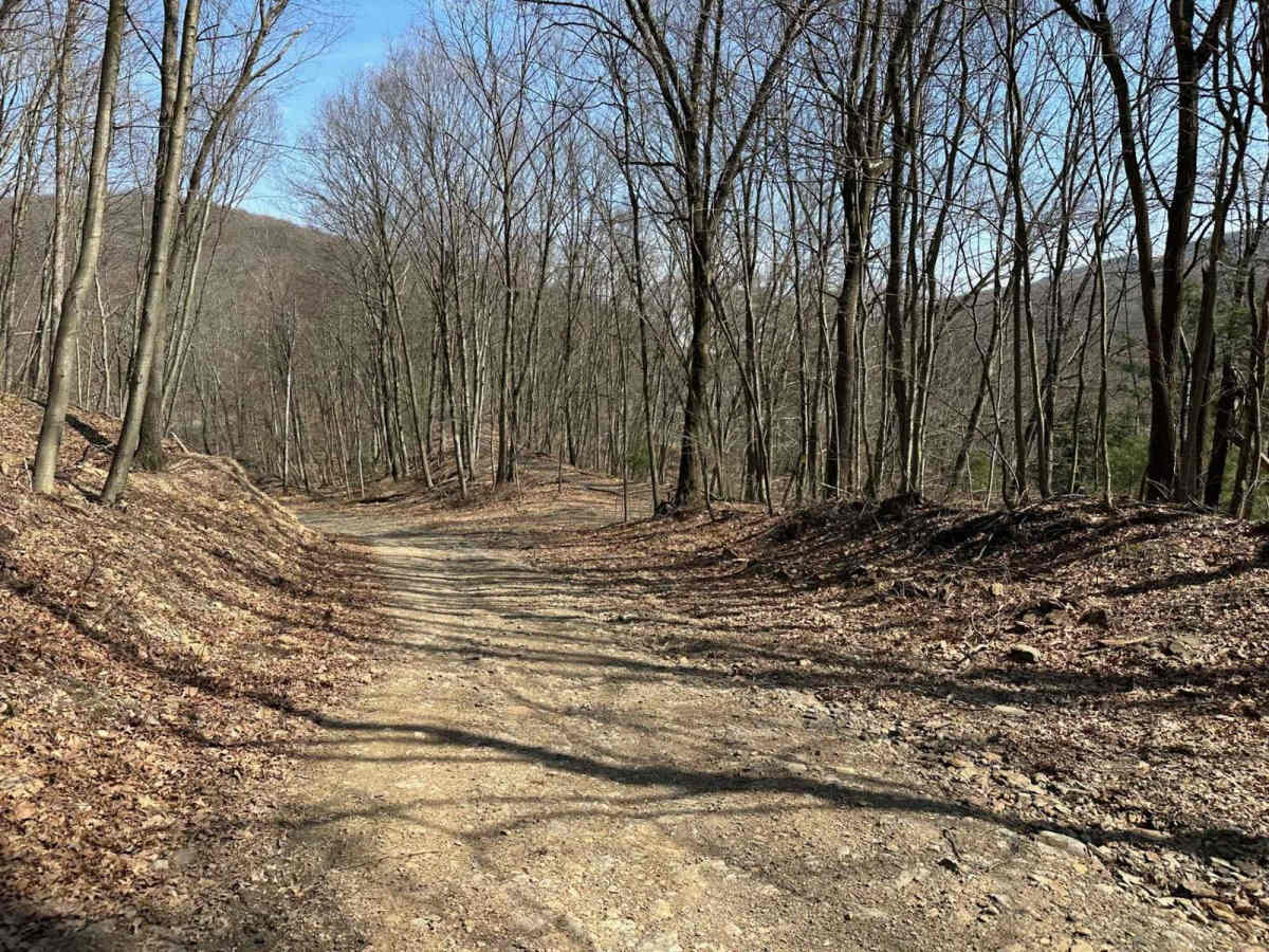 Ashland 114 trail photo