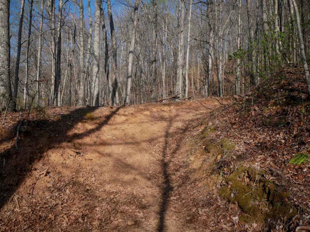 Trail 8 (Most Difficult - One Way) photo 3