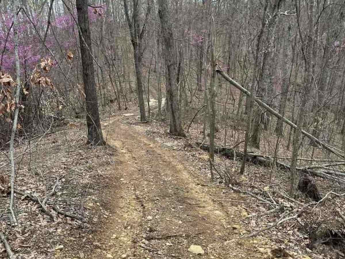 Trail 3 photo 2