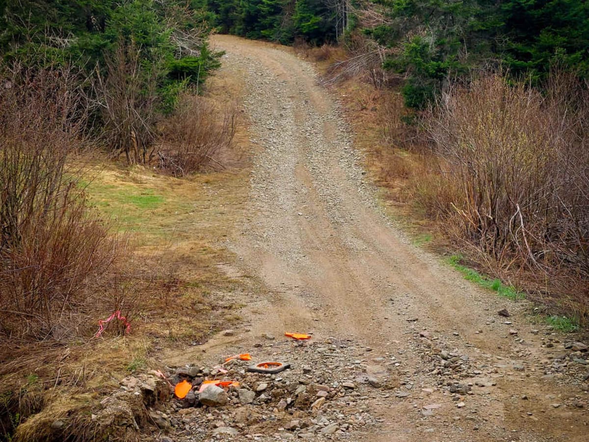 Crooked Creek Trail trail photo