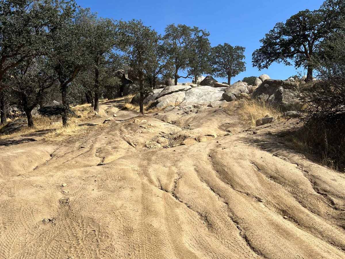 Freeway Ridge 4WD photo 4