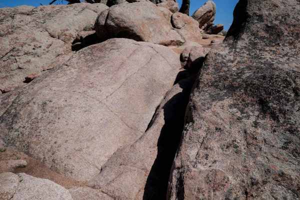 Josie's Trail
