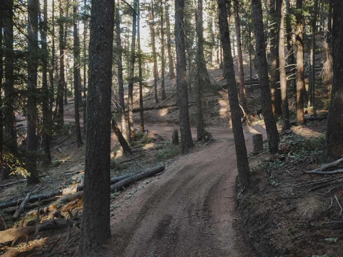679 Dutch Fred ATV Trail photo 3