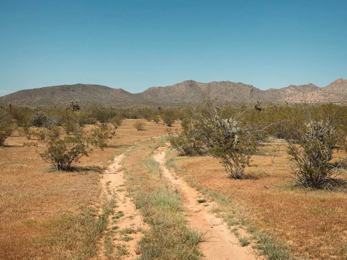 Date Creek Cutoff photo 6