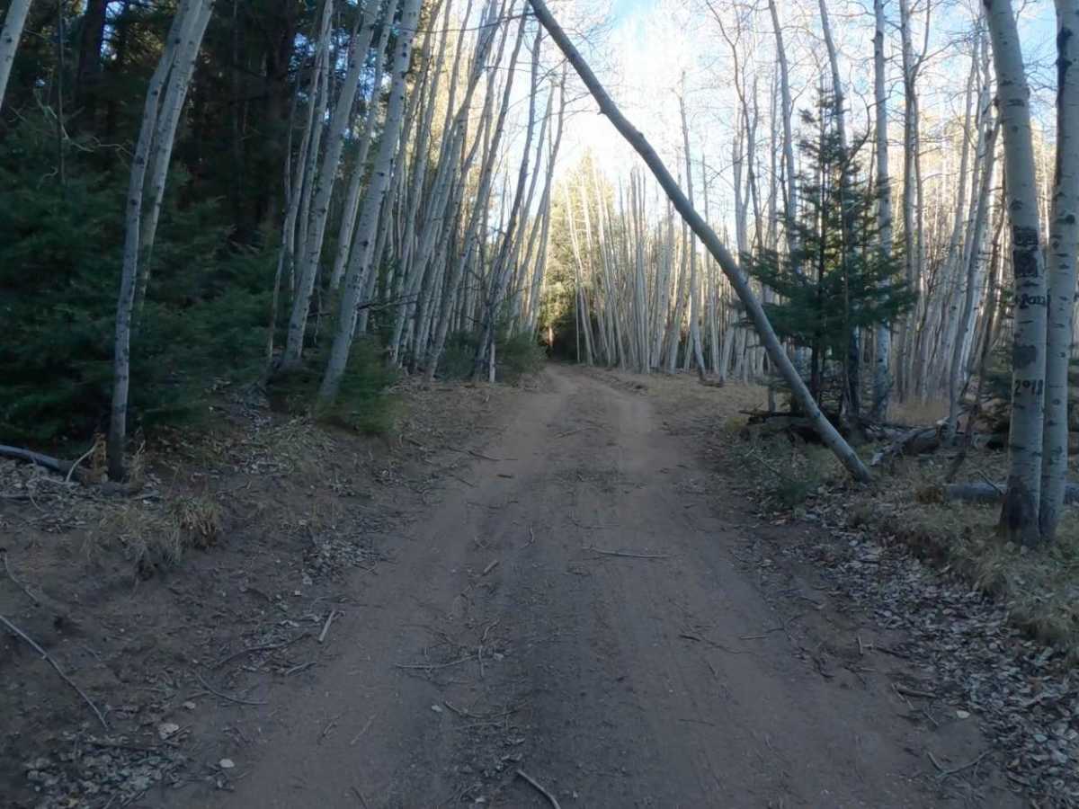 Clark Peak Loop photo 6