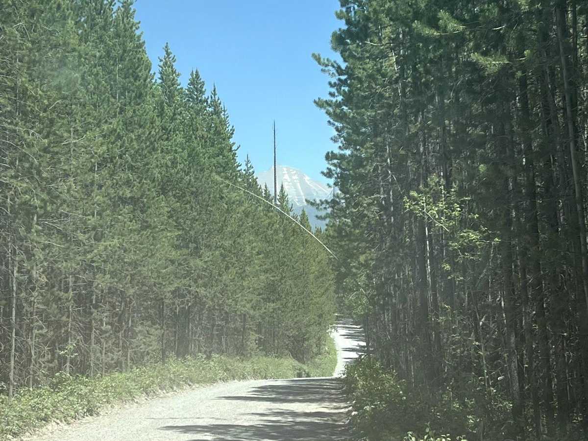 Bowman Lake Road photo 5