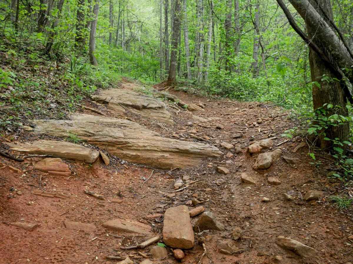 1B Shortcut trail photo