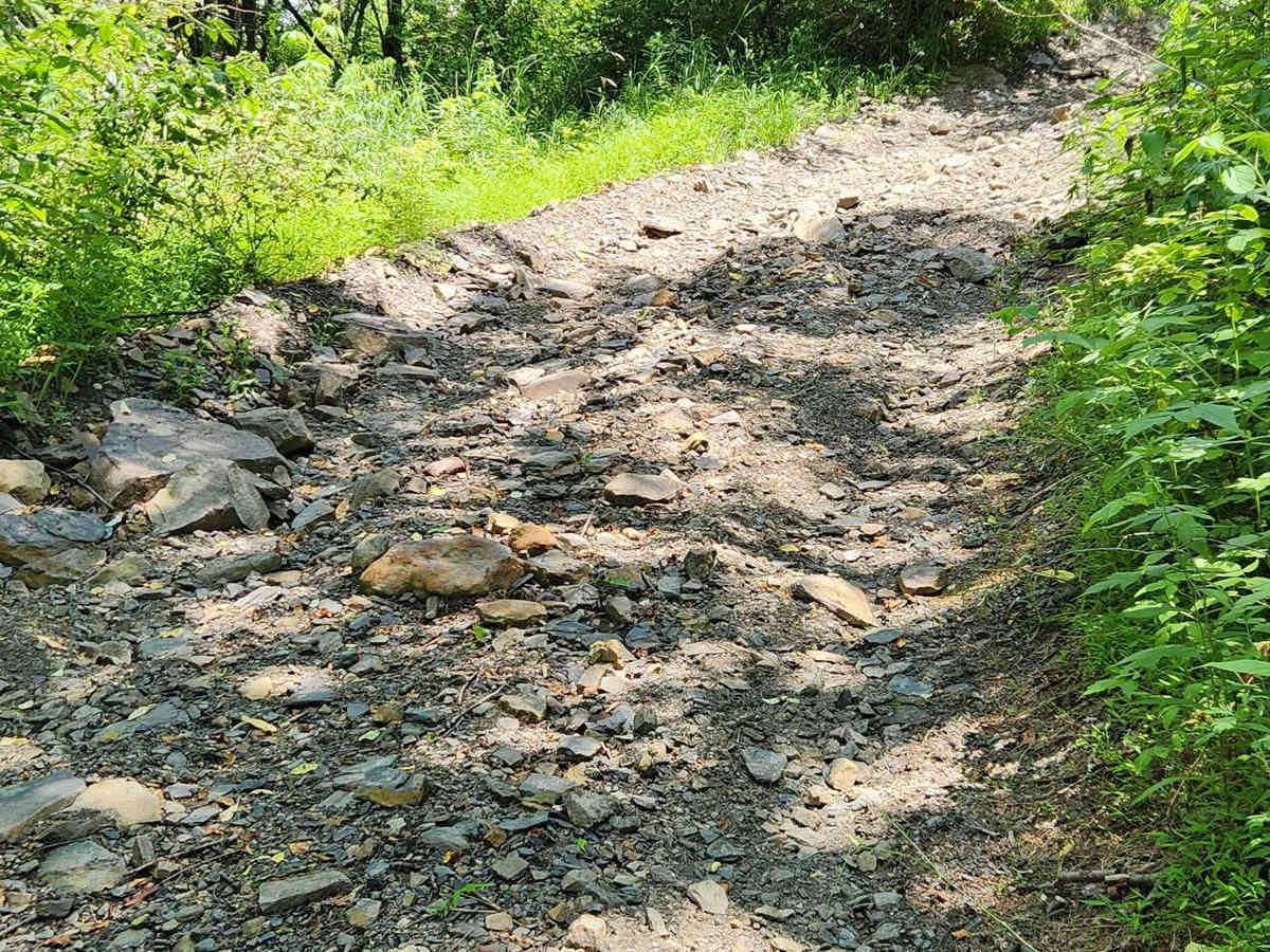 Trail 7B - Rock Run Recreation Area photo 4
