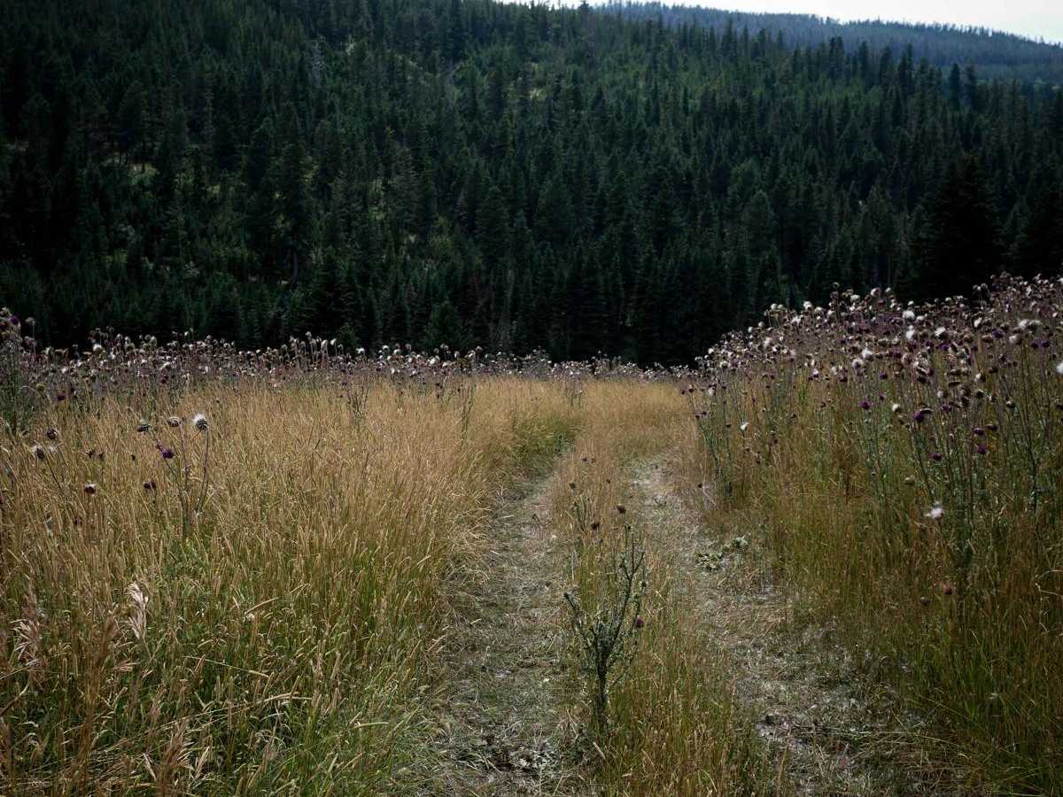 Willow Creek North Spur ATV photo 2