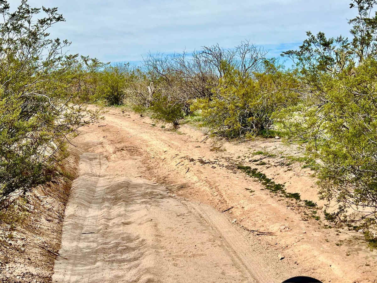 Black Mountain West photo 4