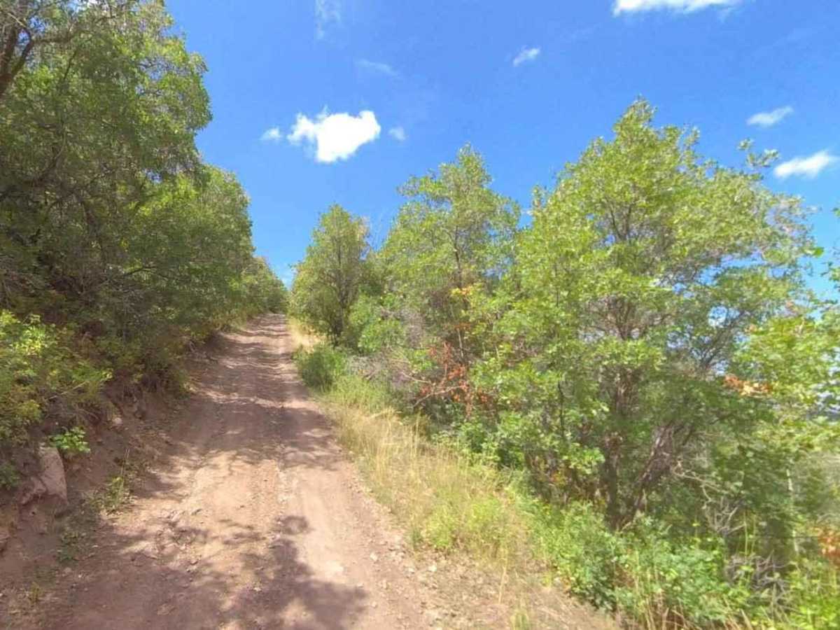Cummings Creek Road- FS 41680 photo 6