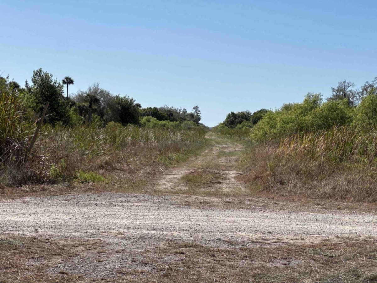 Merritt Boulevard South photo 6