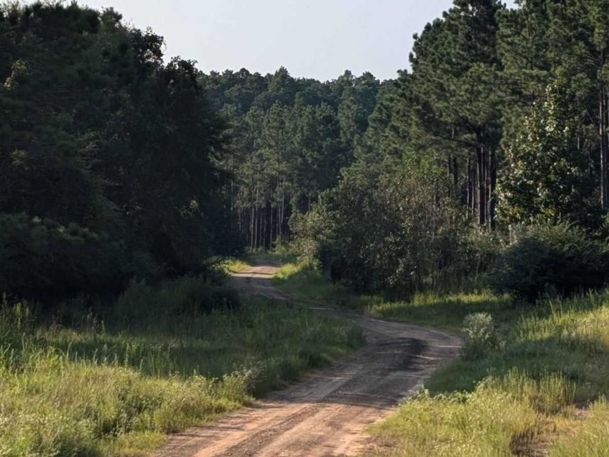 Mission Tejas Cut Through trail photo