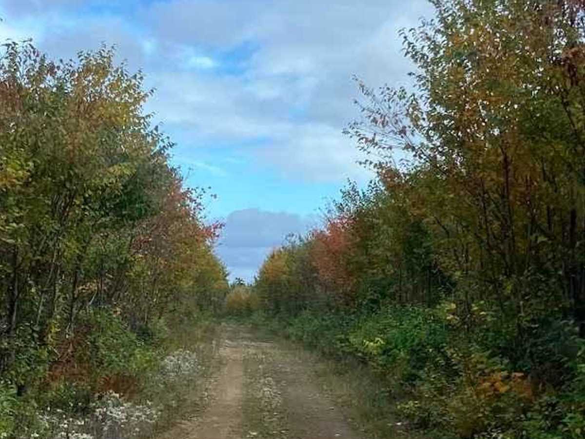 North Highland Road trail photo