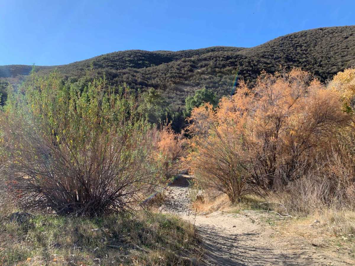 Hixon - Bautista Trail (2E43) photo 2