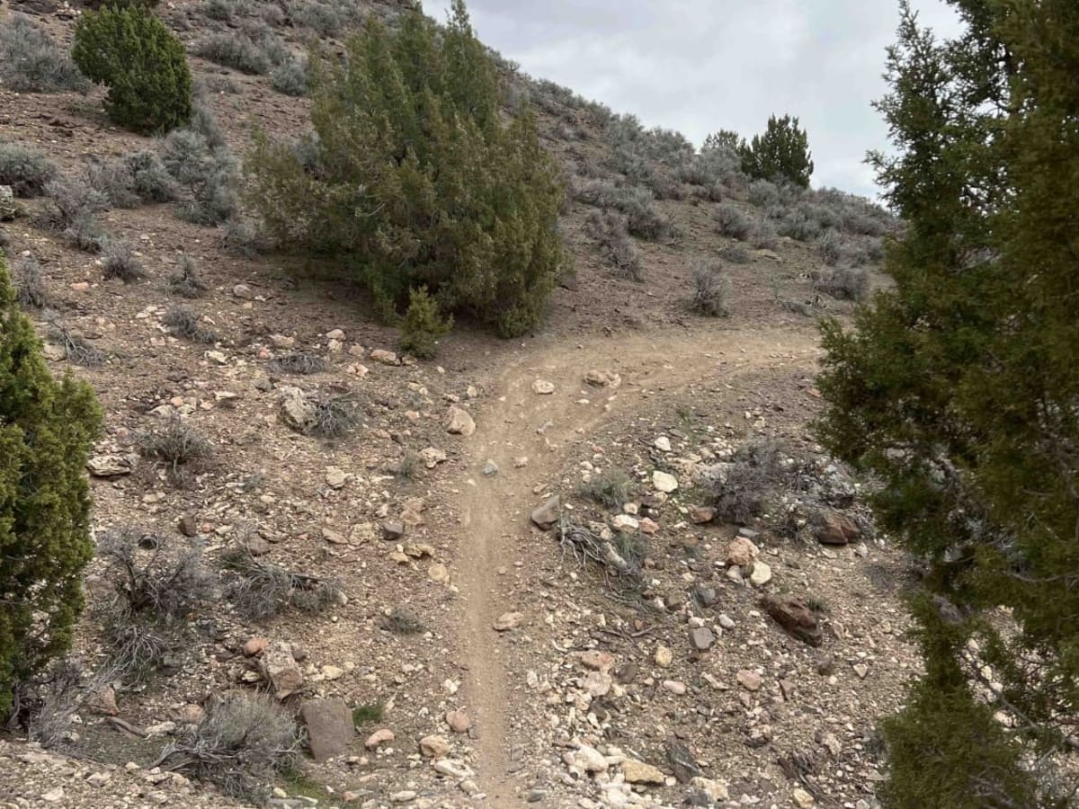 Lakeview Connector photo 6