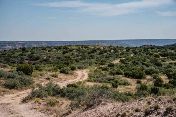 East Rise Point Trail