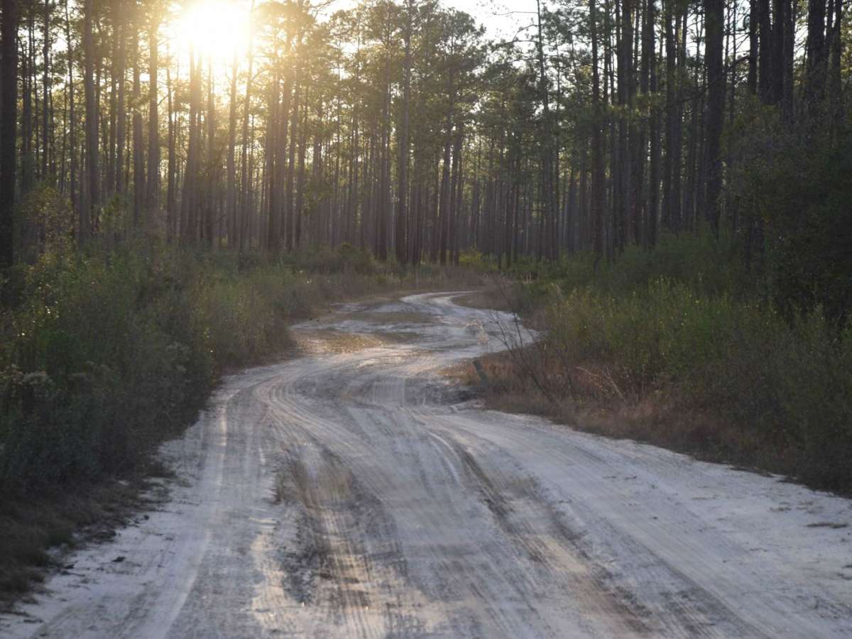 267 - Otter Camp (344) photo 5