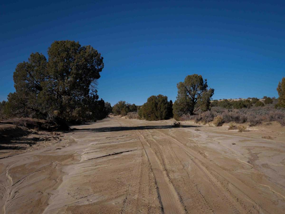 Gasline ATV photo 4