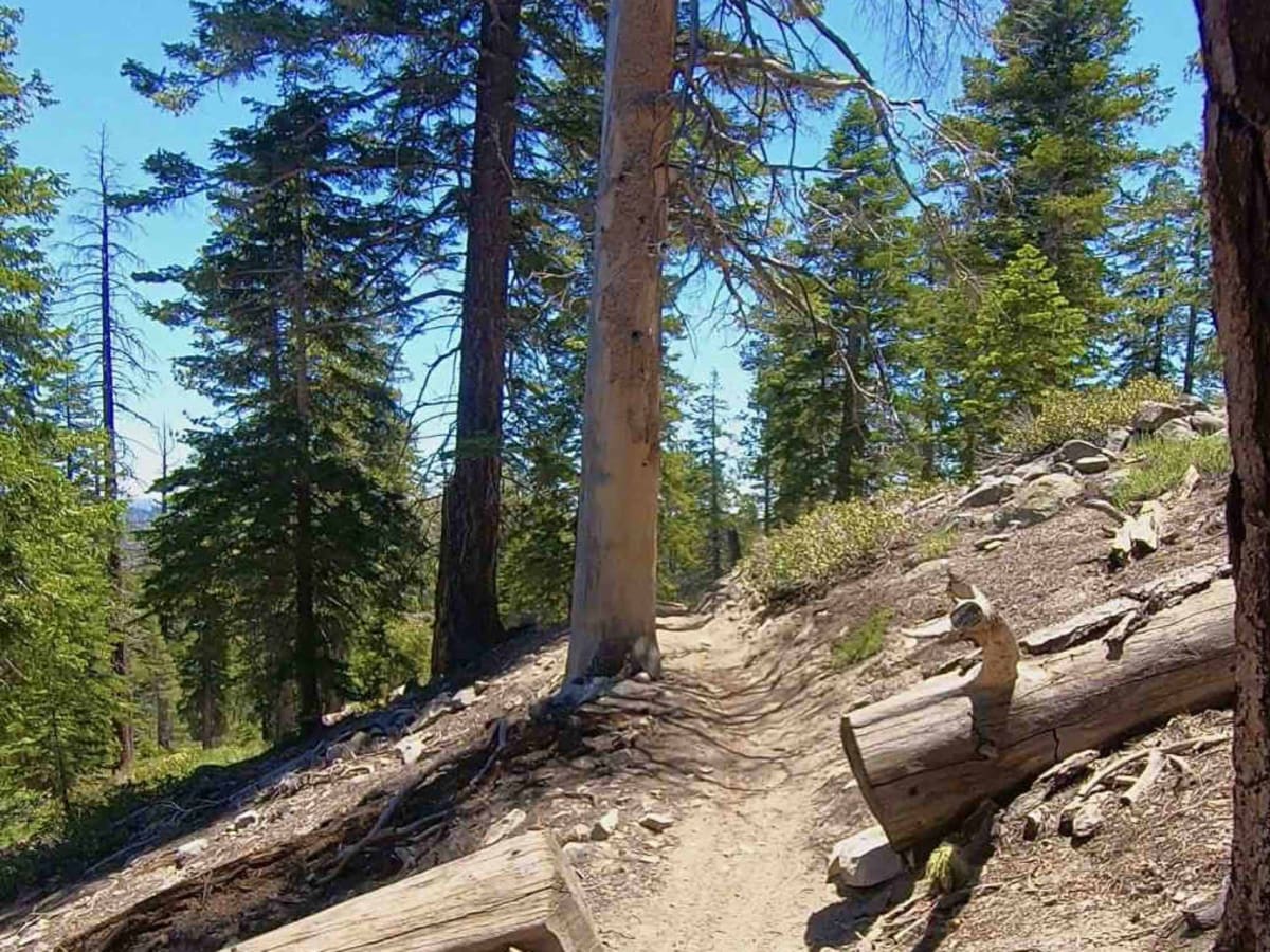 Beach Ridge Trail photo 4