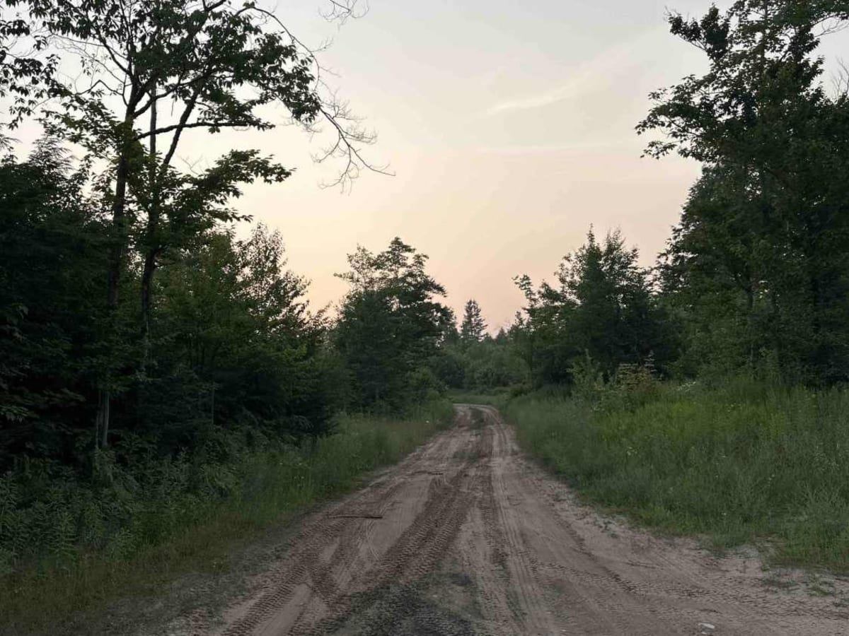 Swamp Lakes trail photo