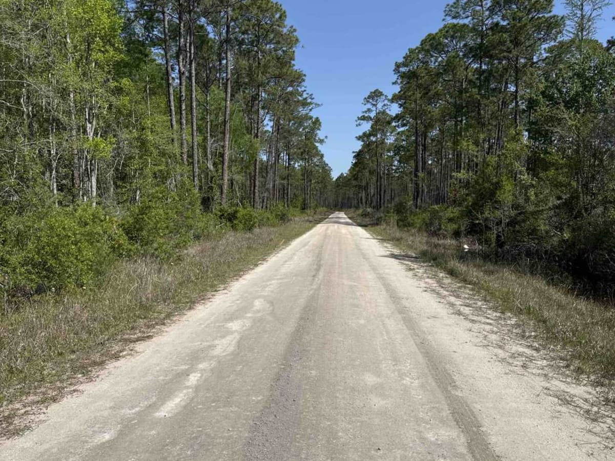 Feeder - Osceola NF 217 photo 3