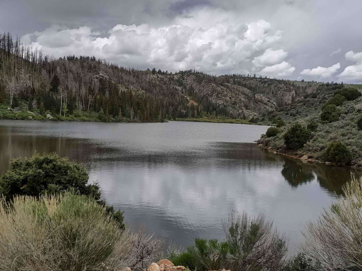 Lower Box Creek Reservoir (FS# 40159) trail photo