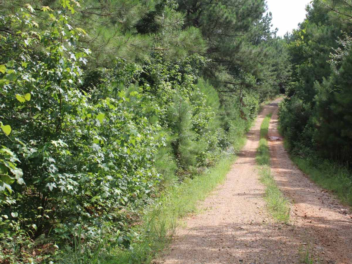 Little Bridge Creek to HWY 73 photo 5