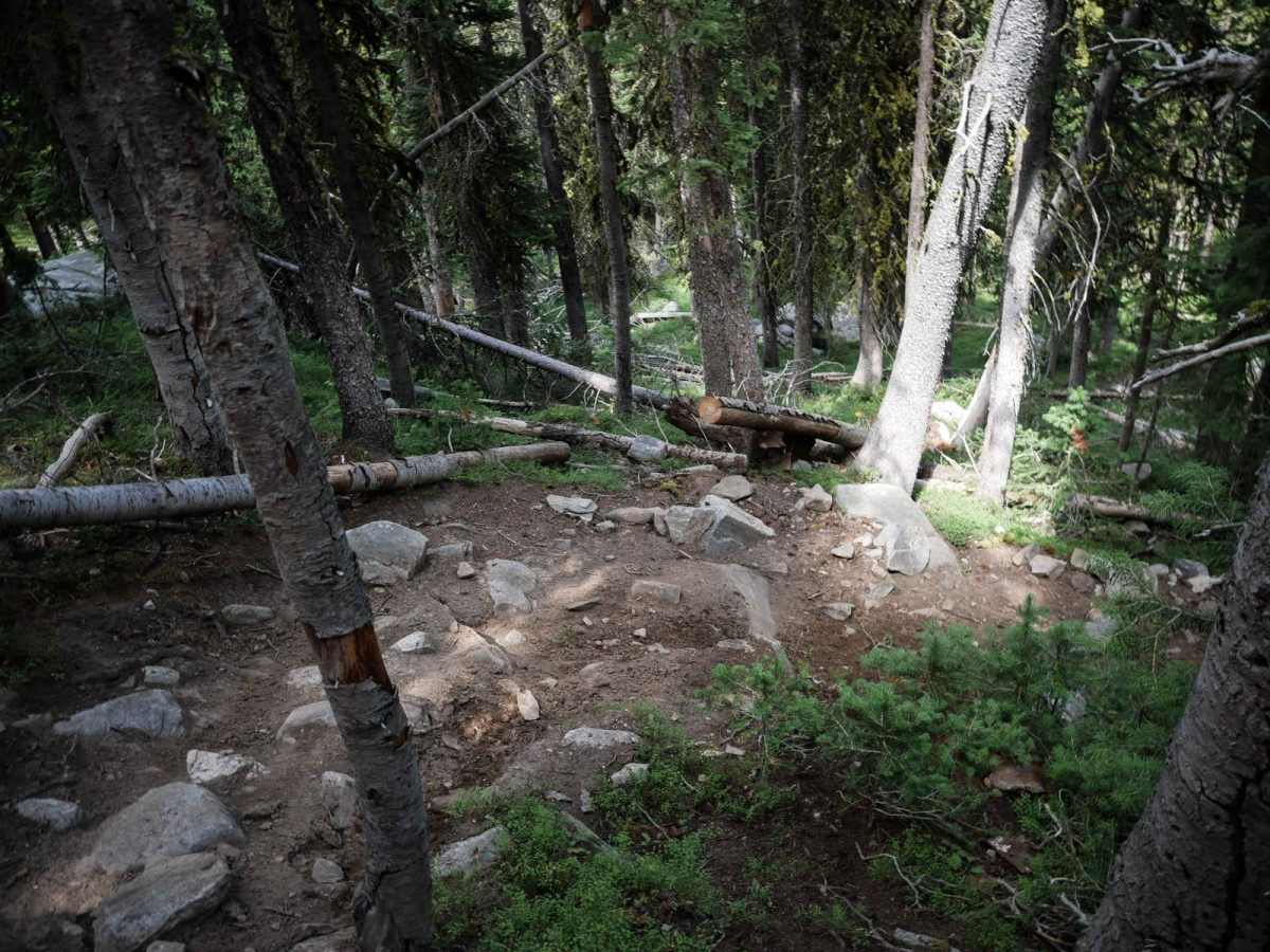 Hidden Lakes ATV #179 - Extreme Difficulty Section photo 4