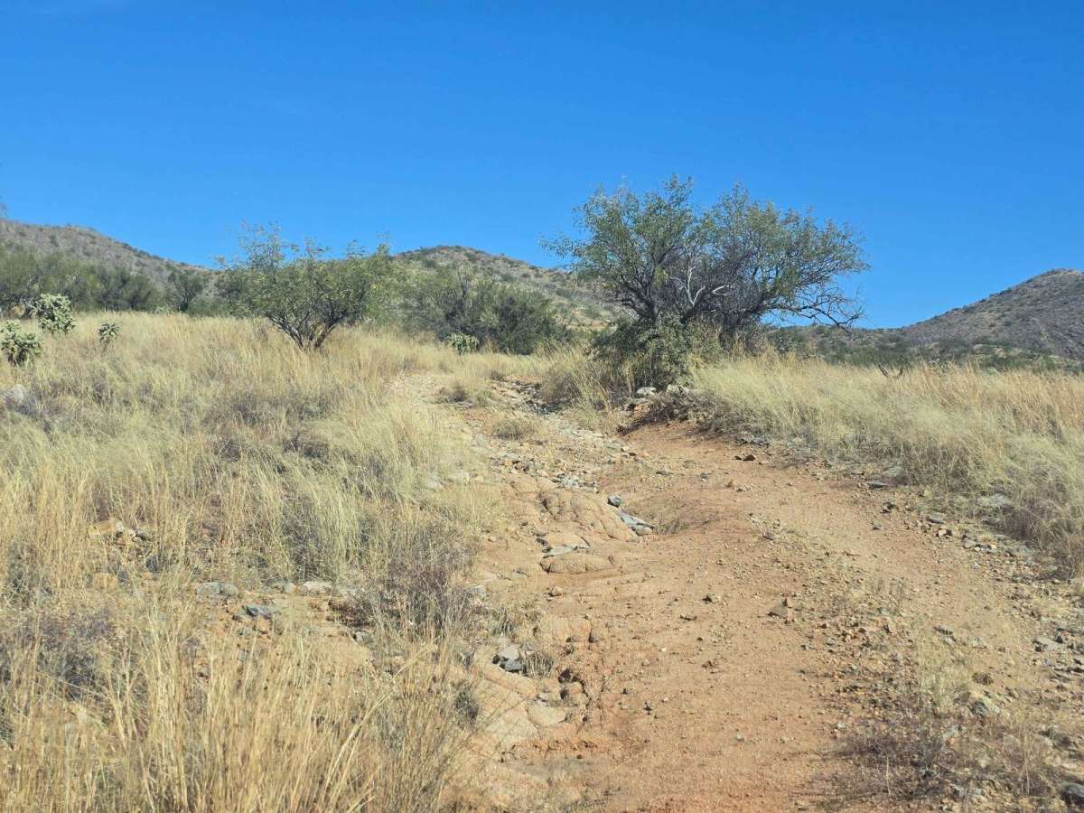 San Luis Mine Trail photo 5